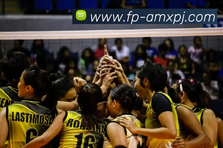 澳门新葡京娱乐APP 封面图